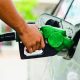 Petroleum, fuel products, Newscenta,