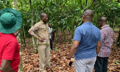 Cocoa farm, rehabilitation, COCOBOD, Ghana, Joseph Boahen Aidoo, handing over of farms,