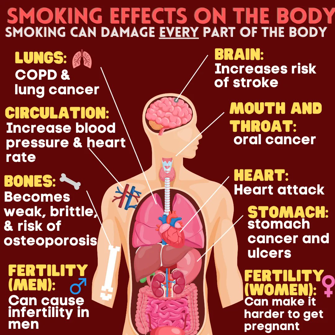 tobacco, smoking, effects of body, Newscenta, Ghana,