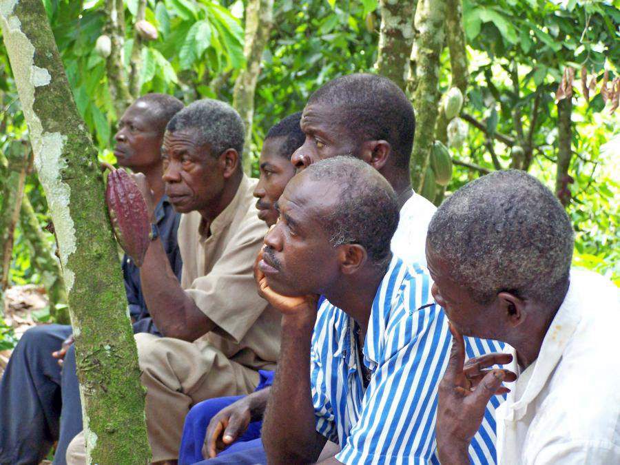 Cocoa price, farmers, Newscenta, inflation, Ghana,