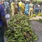 PFJ market, MoFA, foodstuff, Newscenta, affordable prices, plantain, pilot,