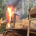 Atewa forest, Newscenta, galamsey, demobilised, Forestry Commission,