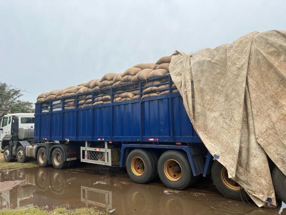 COCOBOD intercepts over 1,500 bags of cocoa being smuggled