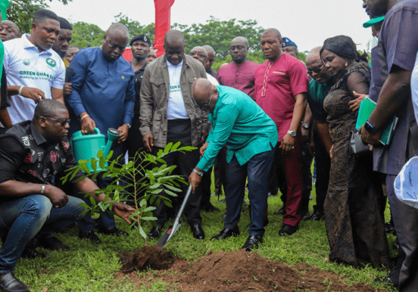 24.39m trees survived, Newscenta, 33m trees planted, 8.61m trees die, 24.39m trees planted in 2 years, 8.61m die, Ghana News,