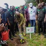 Greener, Future, Newscenta, Akufo, Addo