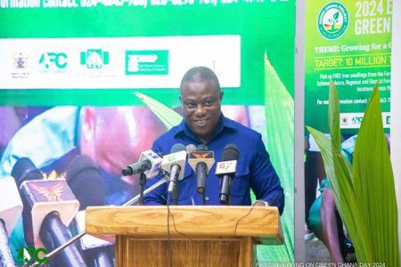 Over 13.8m seedlings distributed for 2024 Green Ghana Day