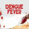 Dengue, Fe ver, Newscenta, Ghana, Malaria