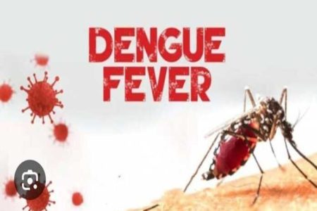 Ghana records 9 cases of Dengue Fever in Eastern Region