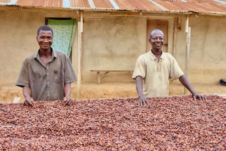 45% producer price increase sends a bag of cocoa to GH₵3,000