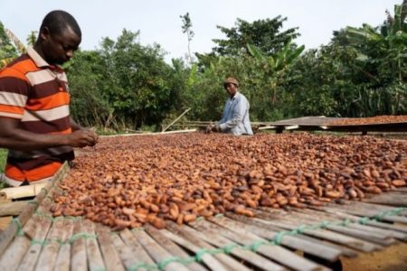 COCOBOD opens new cocoa season on September 10