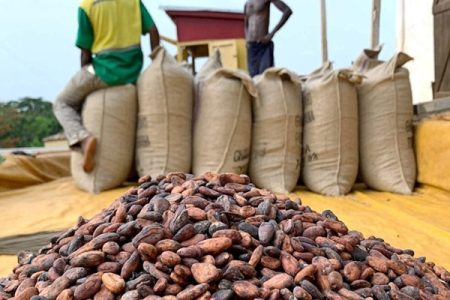 Cocoa firms pour money into Ghana in bid to avert more losses