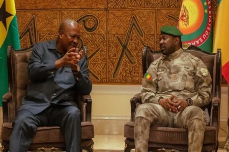 President Mahama and Malian Counterpart Hold Bilateral Discussions