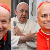 Pope, Newscenta, Francis