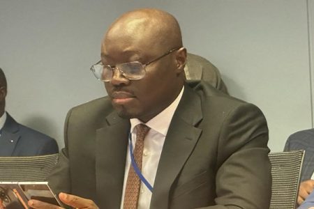 Biggest Economic Risk is energy sector– Finance Minister