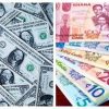Cedi, Depreciation, Newscenta, Resume