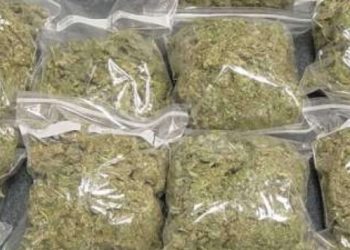 4 nabbed for attempted cannabis trafficking at Kotoka International Airport