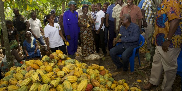200,000 hectares of cocoa to be added to increase income of farmers — Mahama