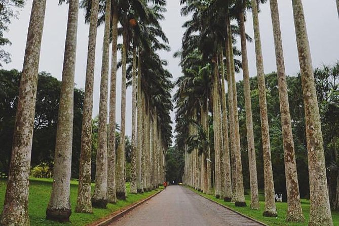 Aburi Botanical Gardens