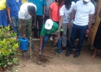 Climate Ecobank plant