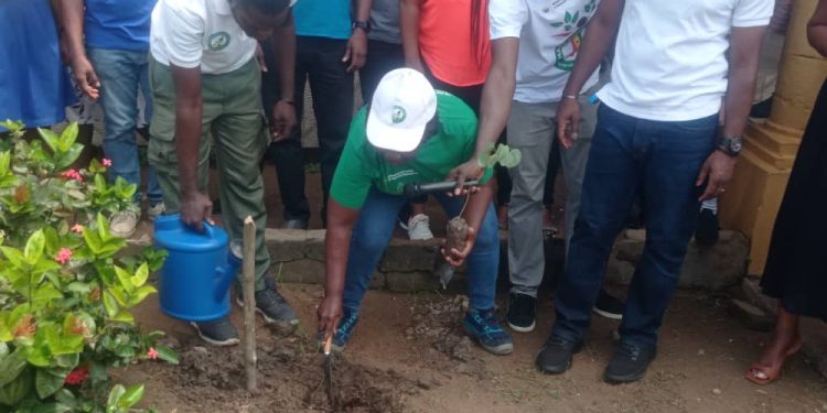 Climate Ecobank plant