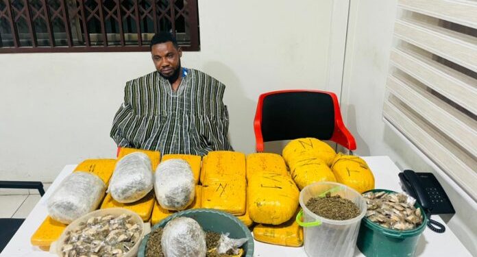 NACOC, drugs,cannabis,