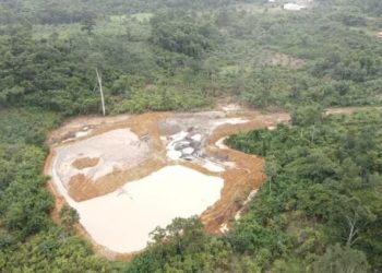 Mining forest reserves