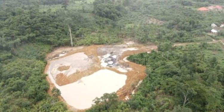 Mining forest reserves