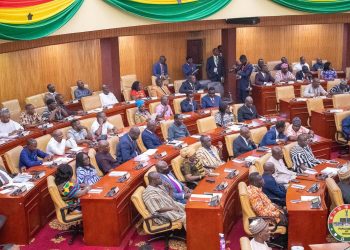 MPs Professor Doctor