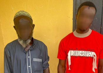 Assaulting video police