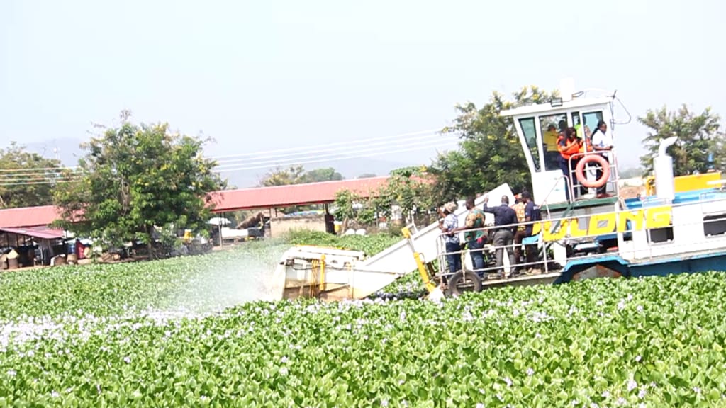 VRA, Kpond dam,weeds,