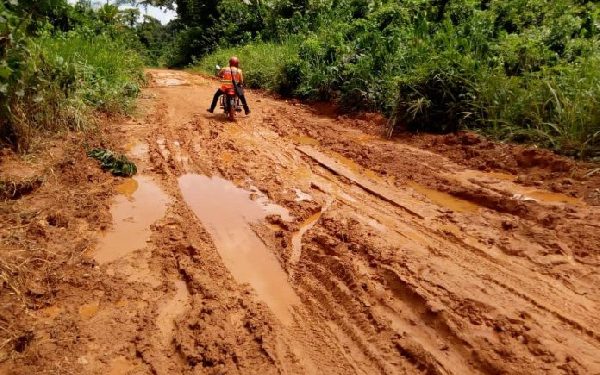 Roads constituencies