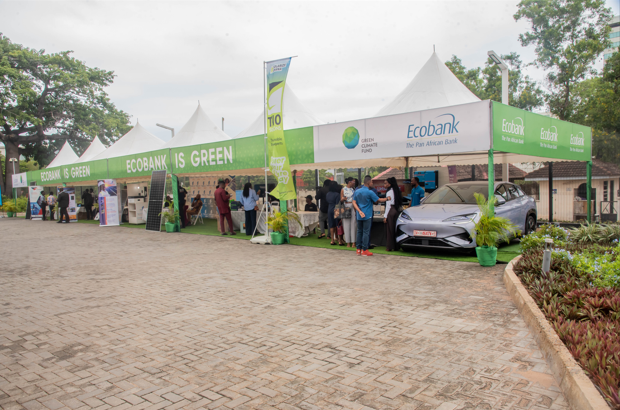 Ecobank clean energy