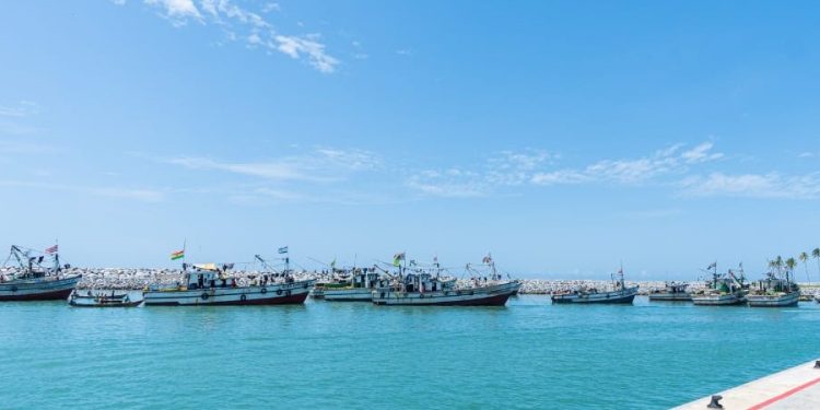 Industrial fisheries sector