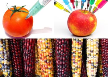 Genetically modified foods