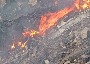 Bodies helicopter crash