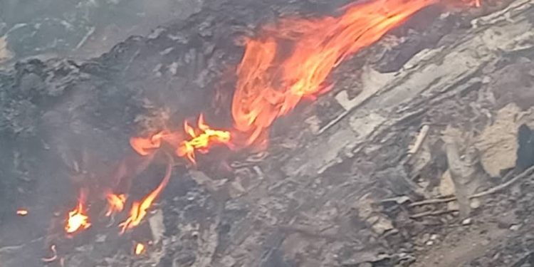 Bodies helicopter crash