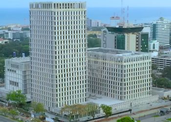 Wilful loan BoG Fitch banks