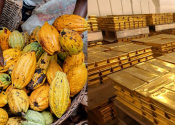 Cocoa gold Alagidede