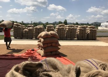 Bag cocoa increased price