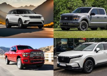 EOCO stolen vehicles