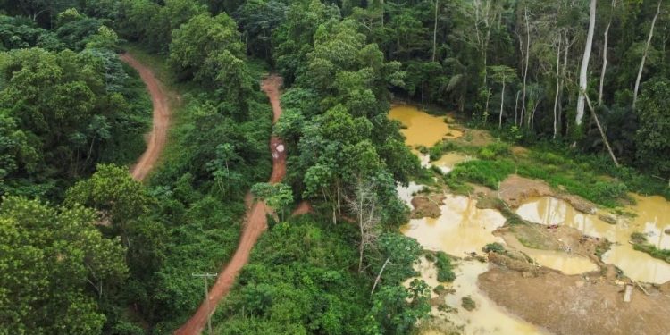 Galamsey forests