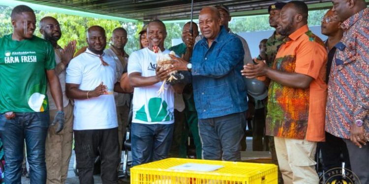 Mahama Nkokɔ Nkitinkiti