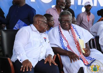 NPP Nana Addo