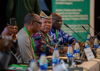 Traditional medicine WAHO