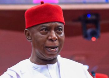 Ned Nwoko wife