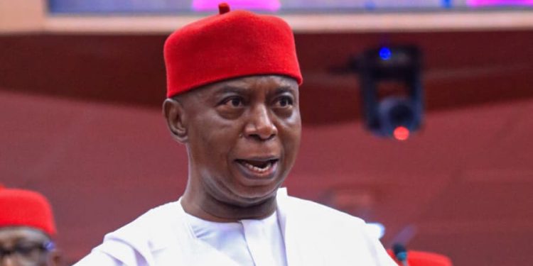 Ned Nwoko wife
