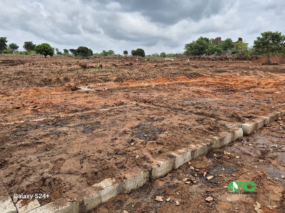 Bosomoa Forest school