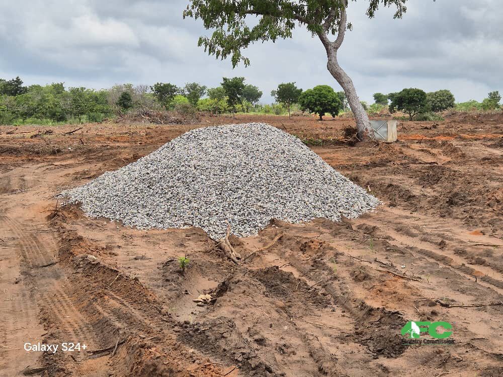 Bosomoa Forest school