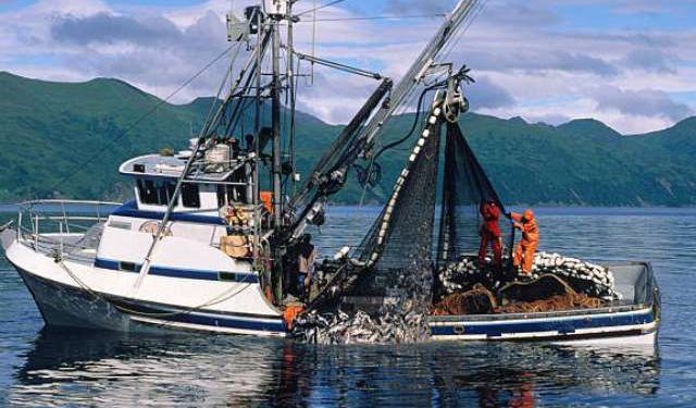 Maritime Authority passengers