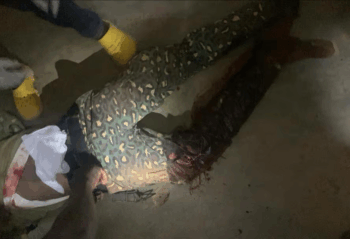 Immigration officer Tempane